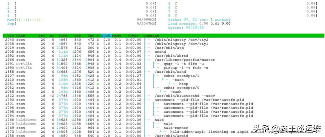 linux内存检测命令（检查Linux内存占用的5大命令简介）